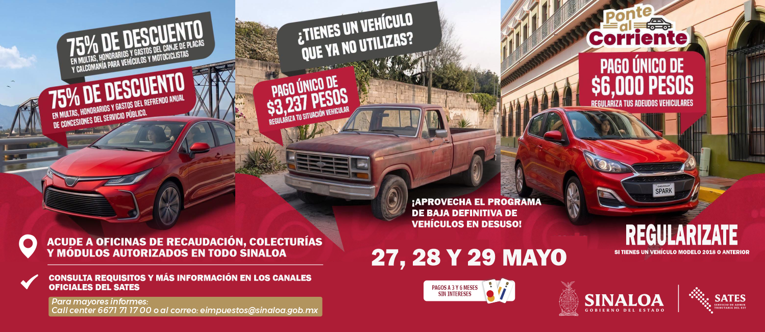 flyer - 24