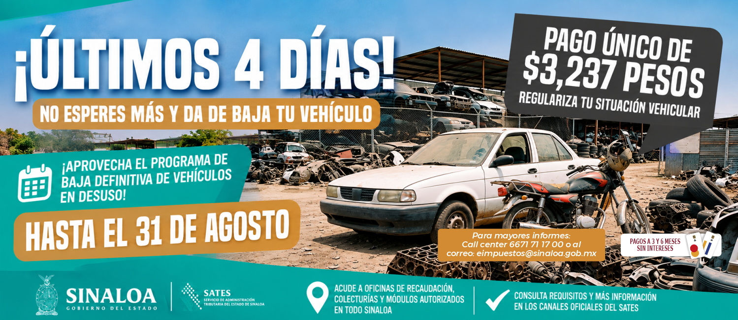 flyer - 53