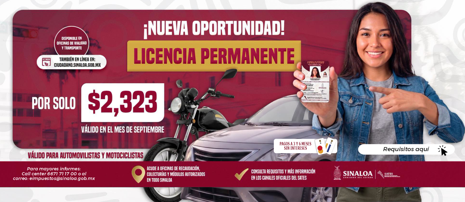 flyer - 62