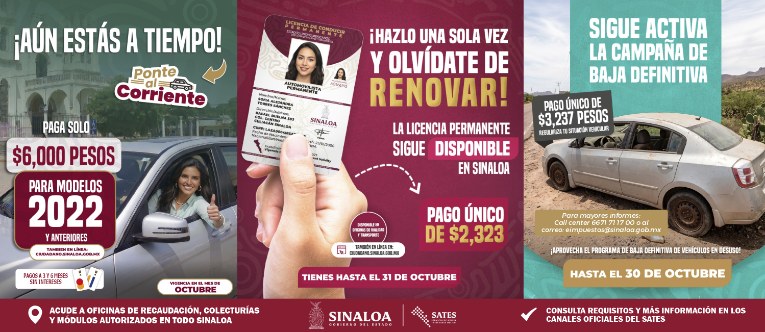 flyer - 1