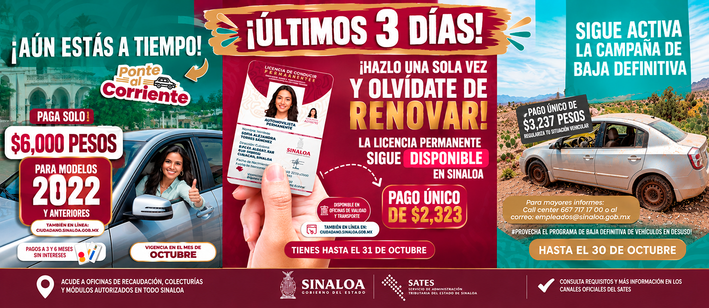 flyer - 5