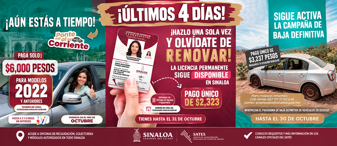 flyer - 5