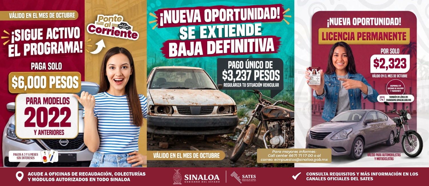 flyer - 80